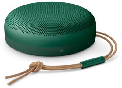 Bang & Olufsen Beosound A1 2nd Gen Green
