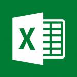 MICROSOFT Excel 2019 OLP NL
